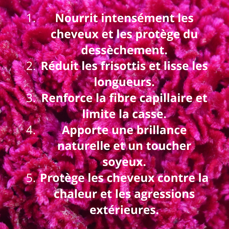 Duo Parfait à L'huile de batana
